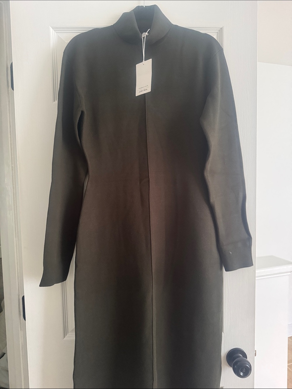 Olive Green Long-Sleeve Turtleneck Dress